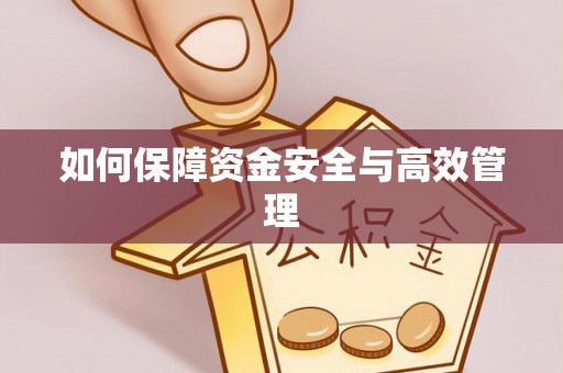克拉玛依如何保障资金安全与高效管理